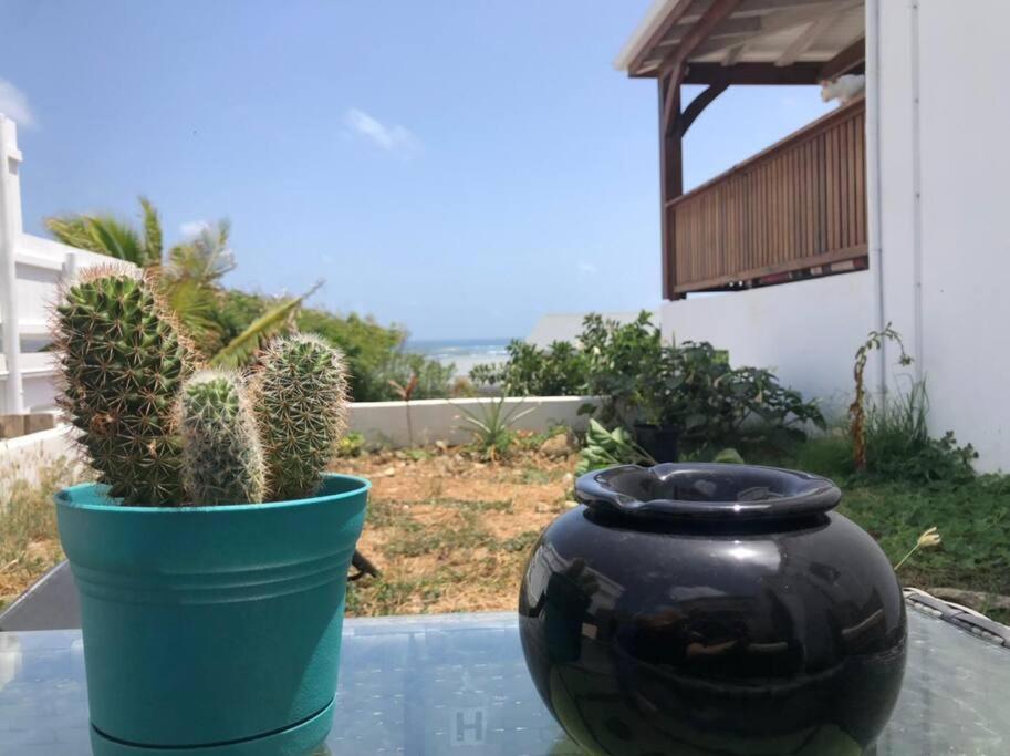 Vacances Entre Mer Et Colline Quarter of Orleans المظهر الخارجي الصورة